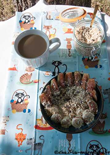 Muesli cacahuètes, coco, sésame et chocolat