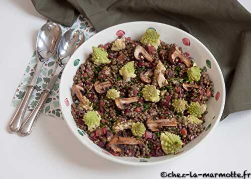 Salade de lentilles au chou romanesco et betterave