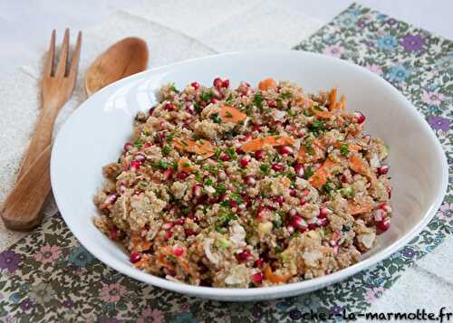 Salade de quinoa, avocat, grenade et noix de coco