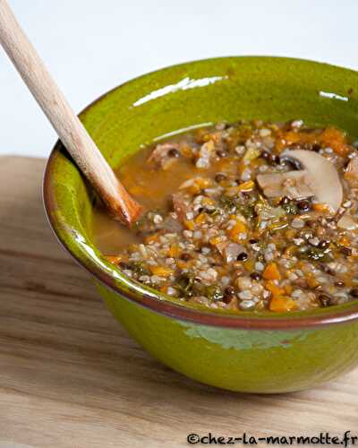 Soupe paysanne (expérience vegane)