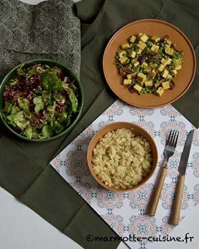 Riz de panais et tofu mariné (Un légume, trois recettes)