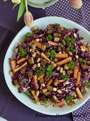 Salade de de pâte au chou rouge et tofu fumé