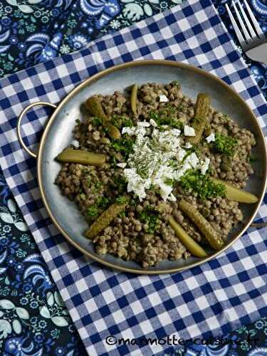 Salade de lentilles ravigote (Coup de balai dans les placards #2)