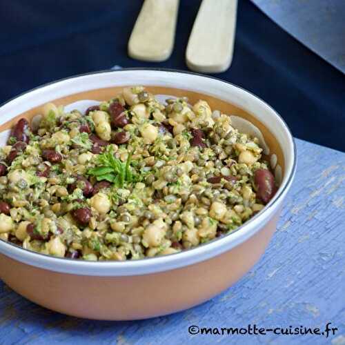 Palikaria, salade de légumineuses et de céréales aux agrumes