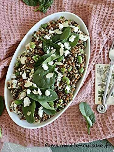 Salade de petit épeautre aux lentilles et à la feta, pesto à la menthe (Un légume, trois recettes)