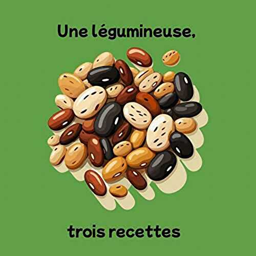 Ash au riz, légumes et lentilles vertes (Une légumineuse, trois recettes) 