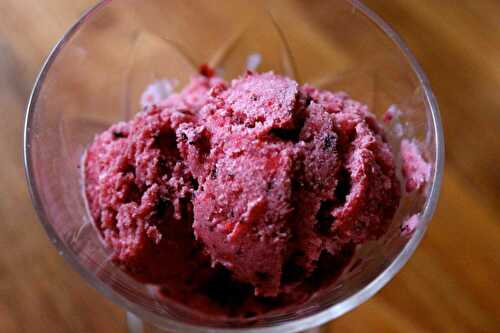 ICE CREAM AU LAIT DE NOISETTE ET FRUITS ROUGES