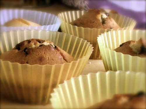 Muffins citron et pépites de chocolats.... - MECHOUIA