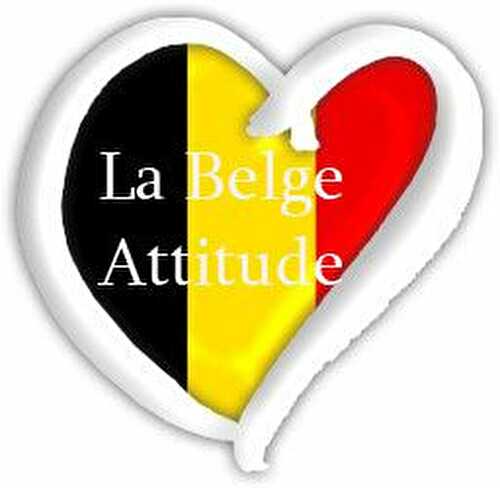 RECAPITULATIF BELGE ATTITUDE...