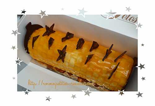 Bûche de noël Mandarine coeur chocolat/noisettes