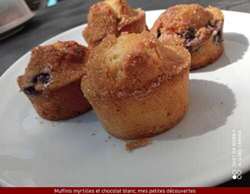 Muffins aux myrtilles et chocolat blanc