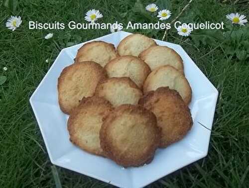 Biscuits Croquants Amandes Coquelicot