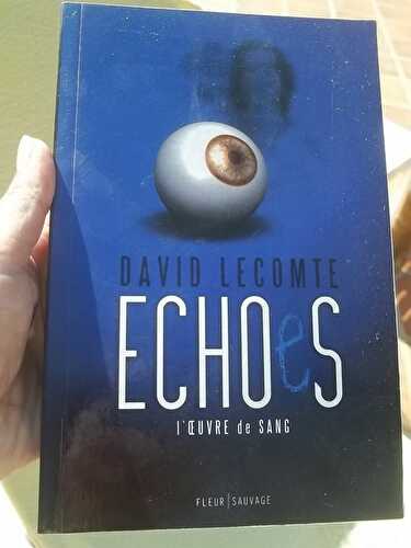 "Echoes" - David Lecomte