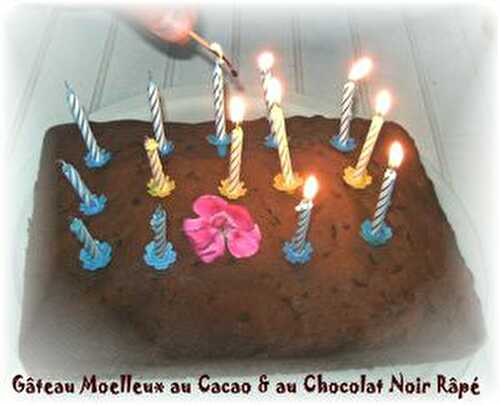 Gâteau Moelleux au Cacao & au Chocolat Noir Râpé