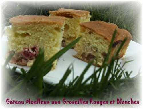 Gâteau Moelleux aux Groseilles Rouges et Blanches - Mes Petites Recettes Préférées