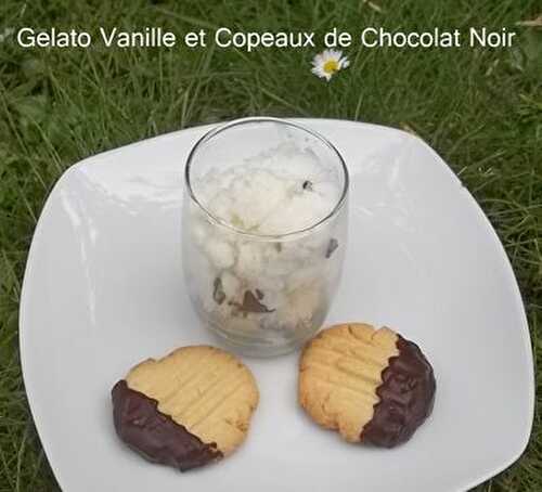 Gelato Vanille et Copeaux de Chocolat Noir