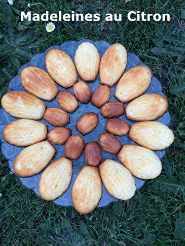 Madeleines au Citron