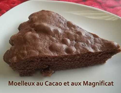 Moelleux au Cacao et aux Magnificat