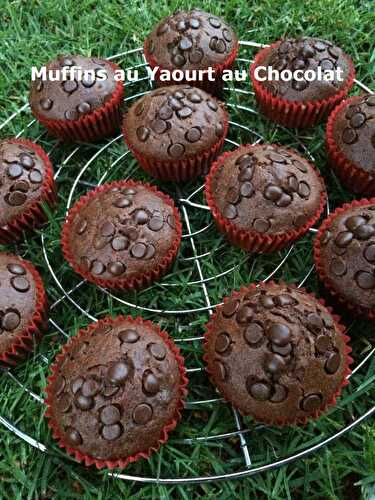 Muffins au Yaourt au Chocolat