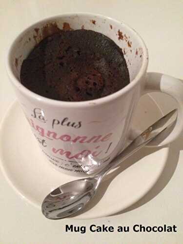 Mug Cake au Chocolat