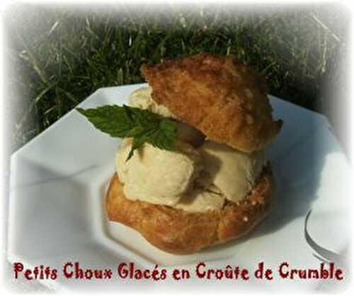 Petits Choux Glacés en Croûte de Crumble