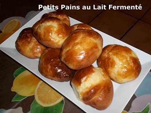 Petits Pains au Lait Fermenté