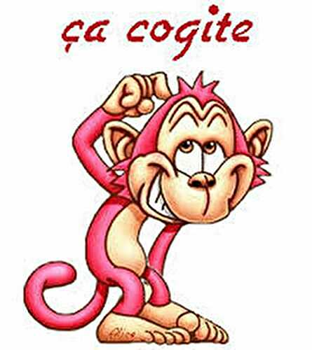 Glace aux fruits rouges