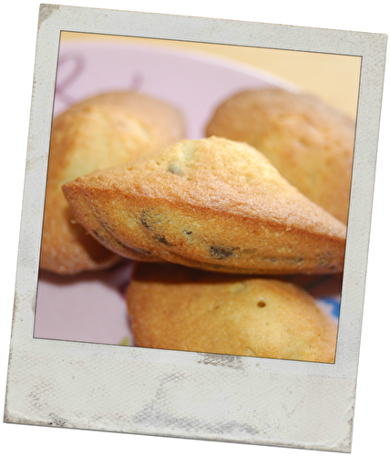 Fameuses madeleines de Lenôtre