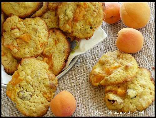 Cookies aux Abricots et Muesli aux fruits