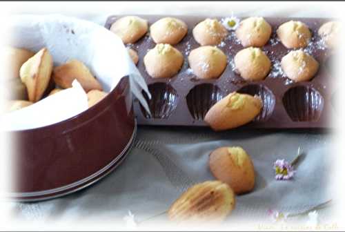 Madeleines