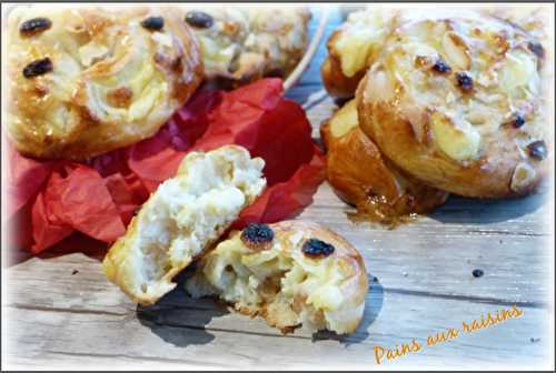 Pains aux Raisins { ou Escargots }