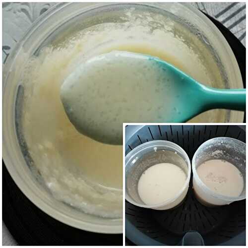 Crème tapioca au lait maternel