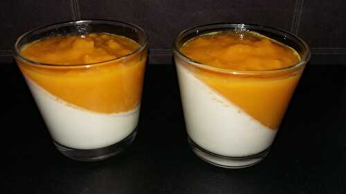 Panna cotta mangue coco