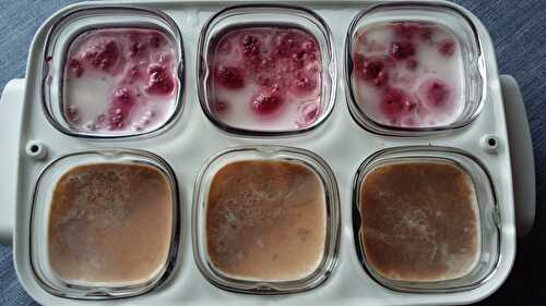 Yaourts carambars framboises