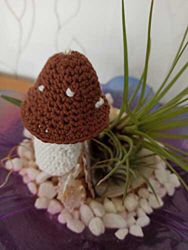 Champignon au crochet