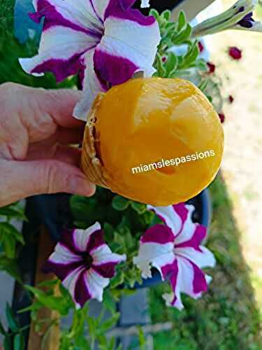 Sorbet à la mangue
