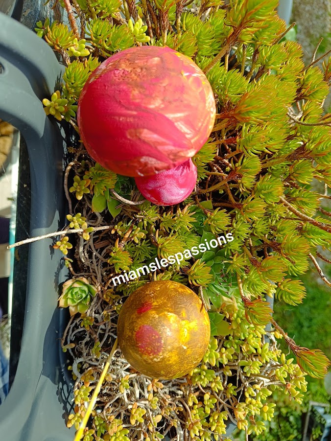 Champignons peints