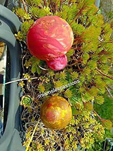 Champignons peints