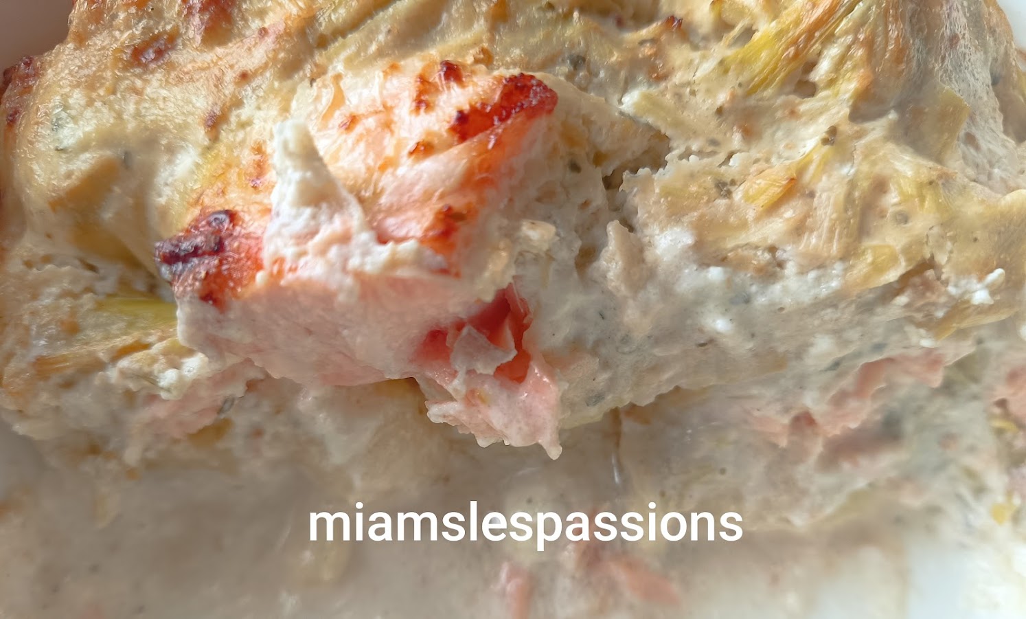 Gnocchis poireaux saumon