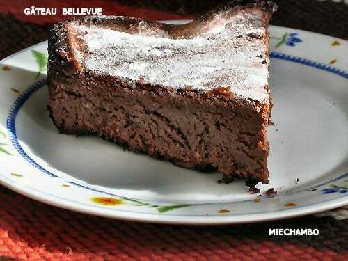 GÂTEAU BELLEVUE de Ch. FELDER