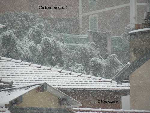 La météo sur la Côte et des ganses légères.... légères comme un flocon de neige !