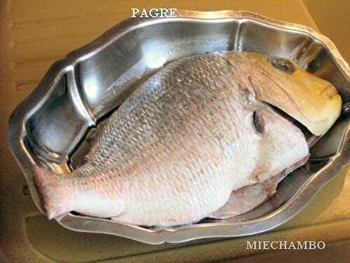 PAGRE GRILLE