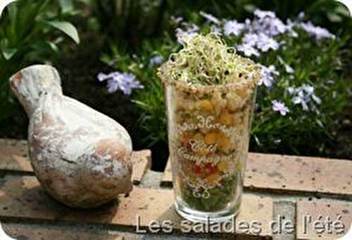 Salade d’Asperges au Parmesan, Jambon Serrano grillé et Vinaigrette de Lentilles