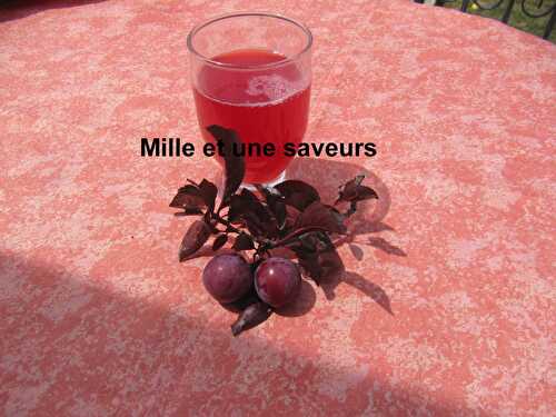 Eau de prunes rouges et rhubarbe