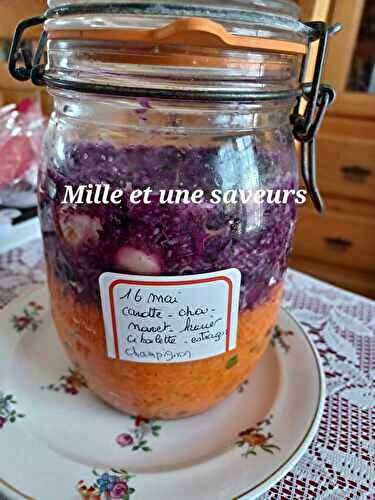 Lacto fermentation de légumes