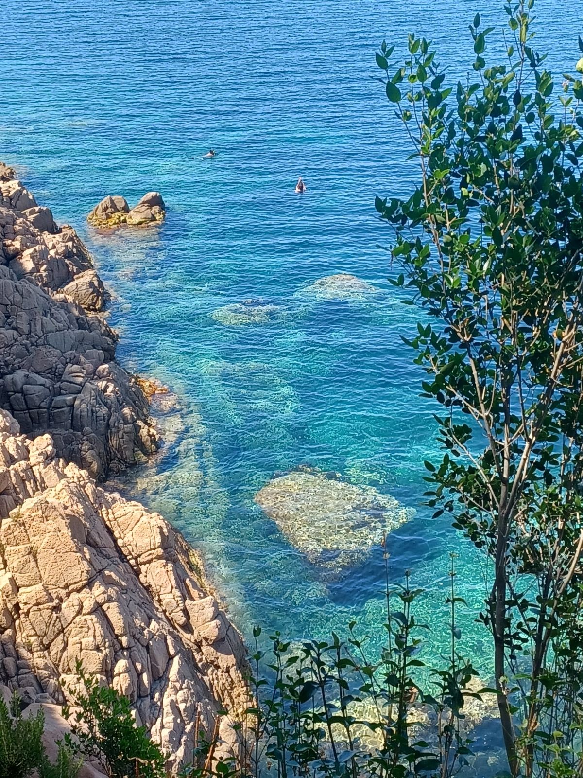 8 jours en Corse et j'avoue que cette île porte bien son nom "île de Beauté