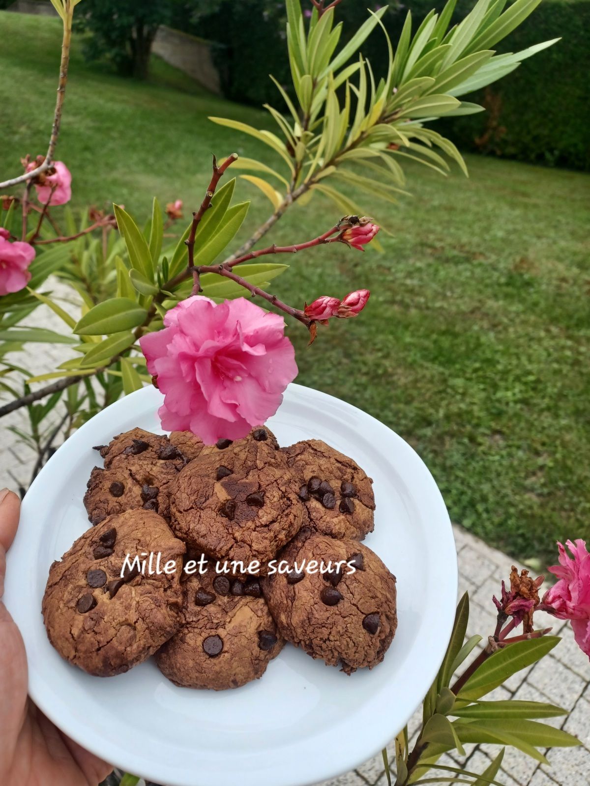 Cookies choco, spéculoos au thermomix