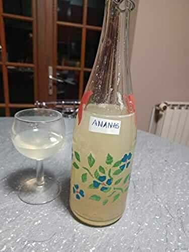 Boisson pétillante avec du kéfir de fruits 