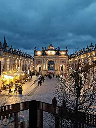  Quelques jours au lac du Der, Nancy et Epinal