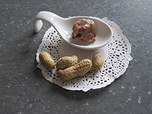 Pâte à tartiner cacahuètes et chocolat au lait, recette thermomix